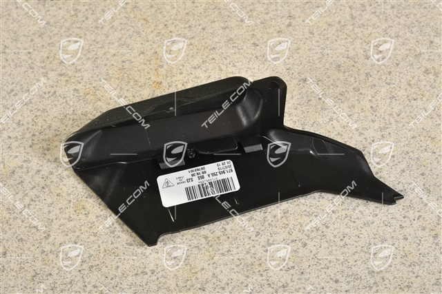 Tail light trim, L