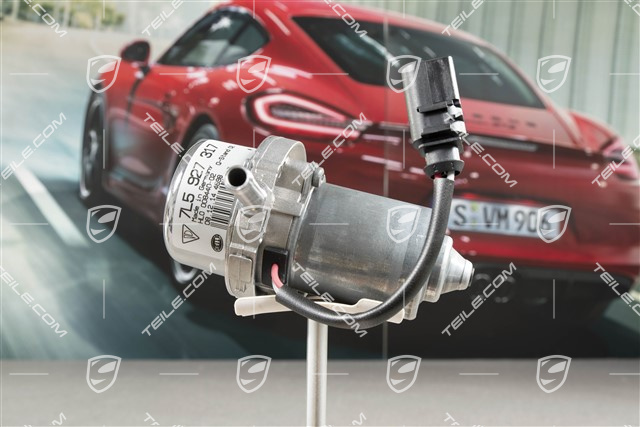 Unterdruckpumpe, V8 4,5L Turbo