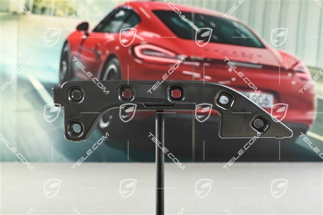 Front bumper retaining strip, L