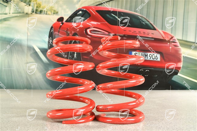 GT2RS / GT3 RS, Schraubenfeder Satz, HA, PASM