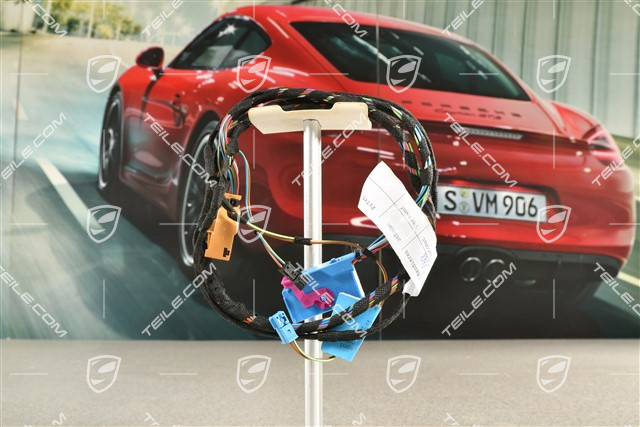 Wiązka elektryczna, Rama montażowa, drzwi kierowcy, L