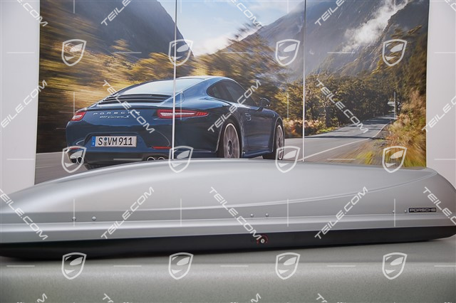 Dachbox, schmal, 300L, silbern, mit Skiträger