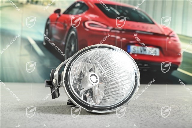 Positionsleuchte mit Blinker, R, sandgestrahlt