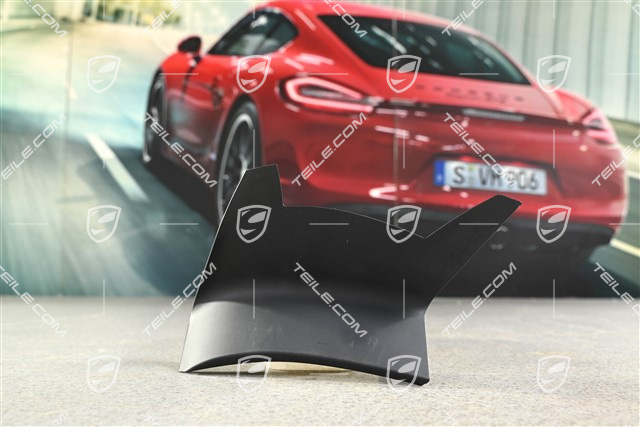 Obudowa lampy zewnętrznej tylnej, L