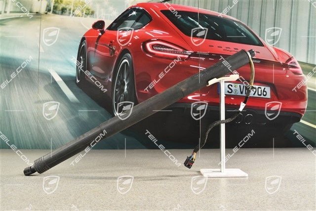 Damper cylinder Trunk / boot lid / automatic closing option / Powerlift