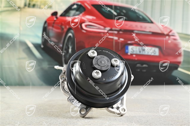 Water pump, complete with pulley