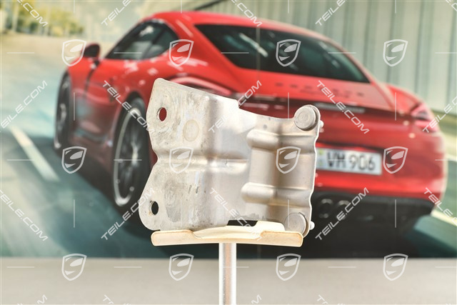Halter für Beschleunigungsgeber