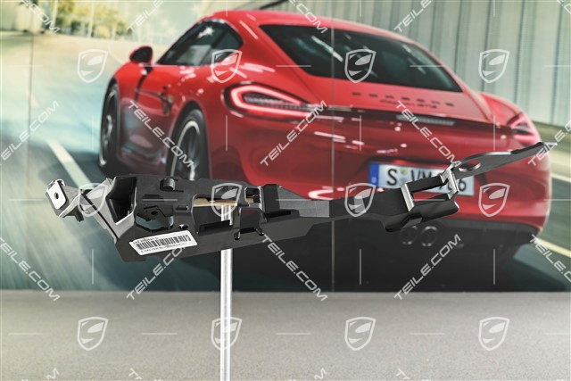 Bumper support rail / mount strip turn signal, L