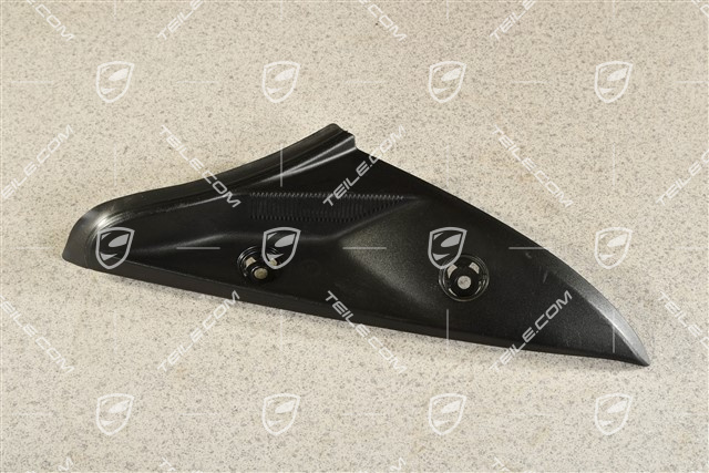 Tail light trim, R