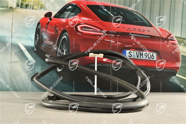 Bonnet Gasket