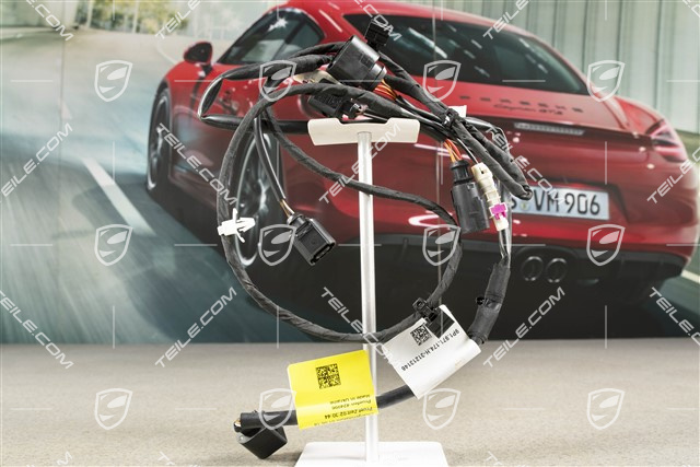 Stossfänger hinten Kabelstrang, 991R