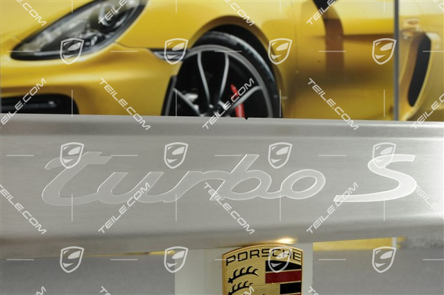 Einstiegleiste "Turbo S", Einzelstück, L=R