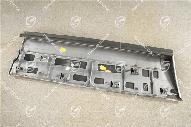 Strip, rear door, L