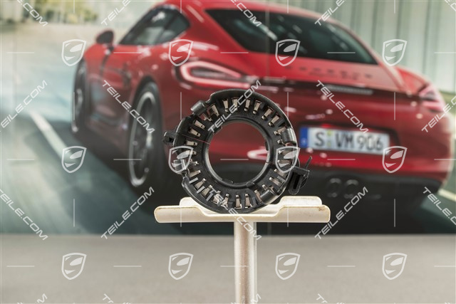 D1S Brenner / Brinen Haltering