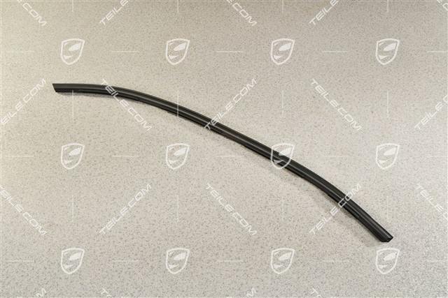 Windshield gasket, R