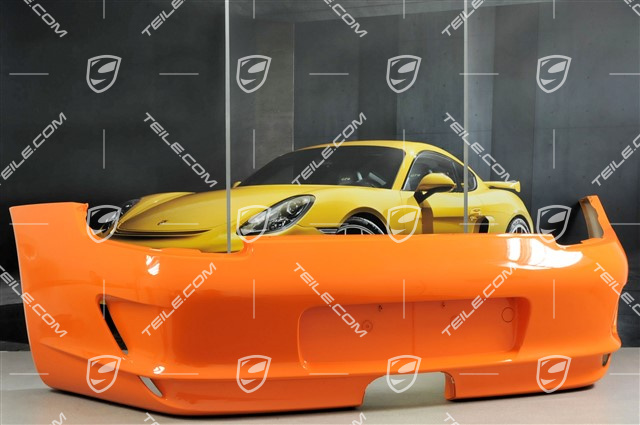 GT3 Rear bumper covering