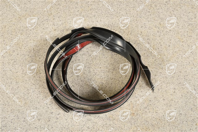 Coupe, Carbon-Dach Dichtung, R