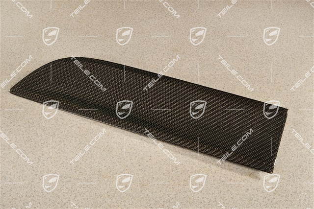 Blende, Tür, hinten, Carbon-Glänzend Schwarz, L