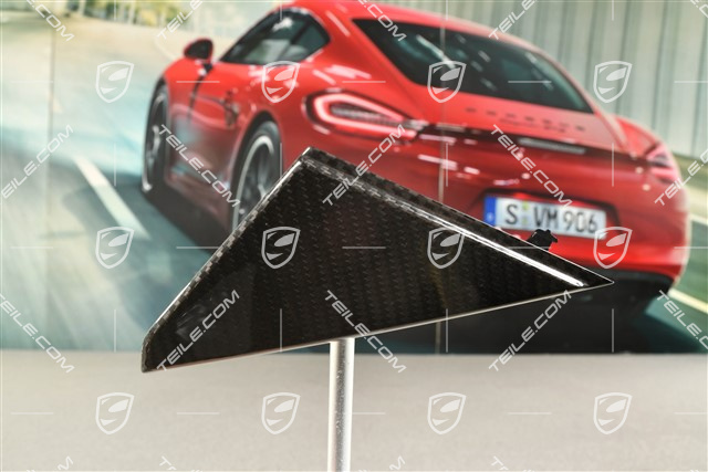 Abdeckung, Fensterfuehrung, carbon, L