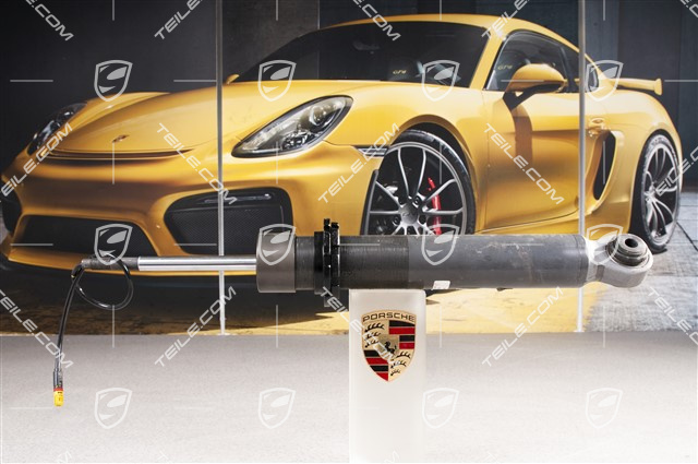 Stossdämpfer / Schwingungsdämpfer, Hinterachse, PASM. GT3RS, L=R