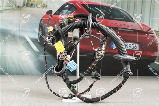 Wiring harness, Assembly frame, Driver's door
