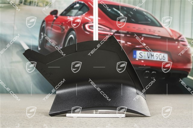 Rear light cover, outer, R