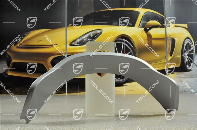 Cover plate (above tailpipe), titanium metallic Cover plate (above tailpipe), titanium metallic