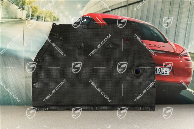 Underbody protection trim, front