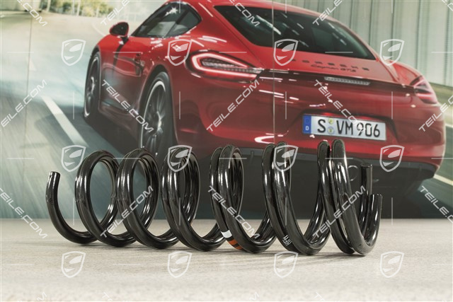 Schraubenfeder, Kennzeichnung Orange/Orange/Weiss, L+R