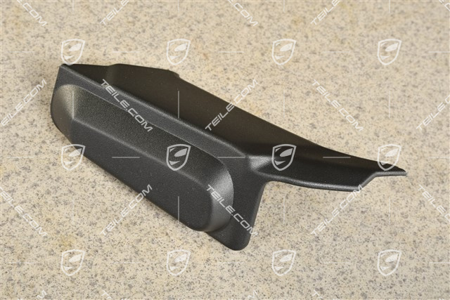 Tail light trim, L