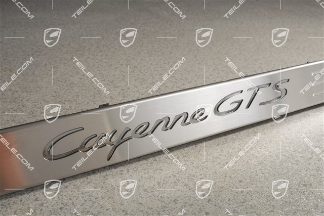 Blende, Einstiegleiste, Vorne, Edelstahl, GTS, L