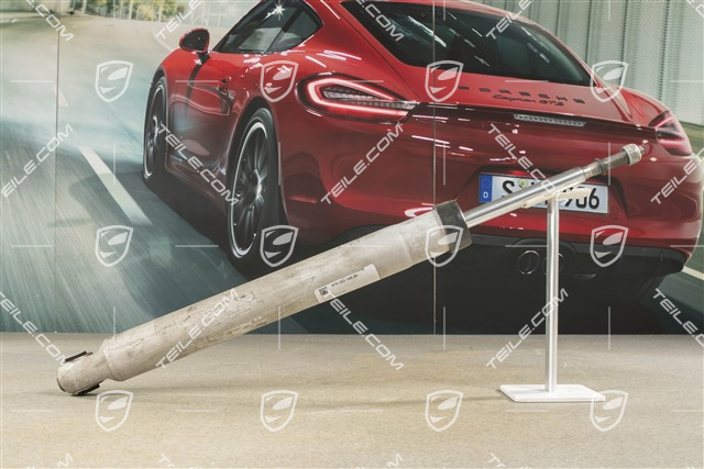 Stossdämpfer / Schwingungsdämpfer, Hinterachse, PASM, L=R