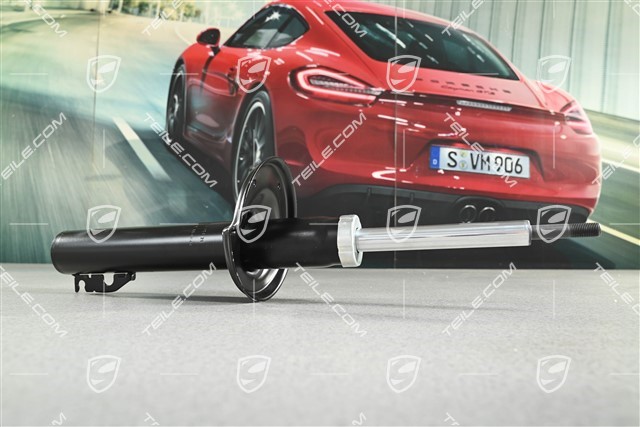 Stossdämpfer,  Serienfahrwerk, Bilstein, L=R
