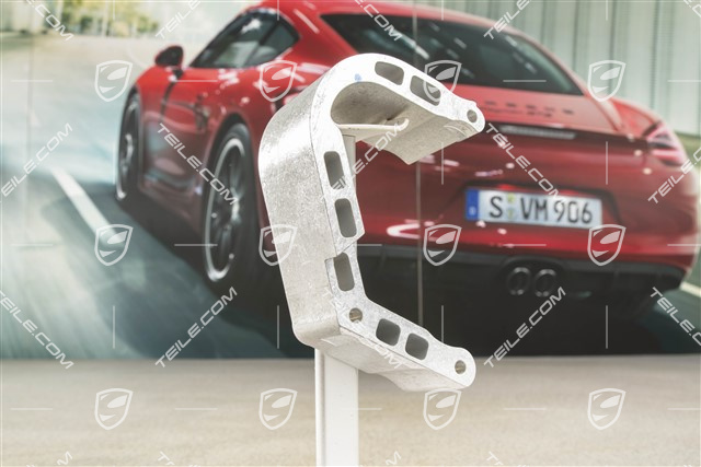 High Pressure (Fuel) Pump Housing support