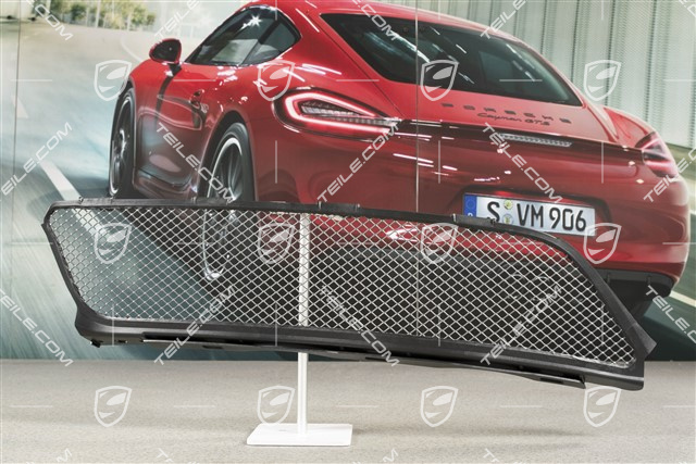 GT3 Grille lining rear, R