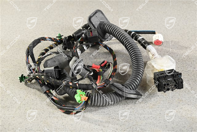 Wiring harness, Assembly frame, passenger's door, R