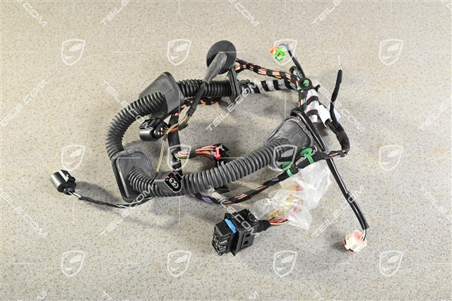 Wiring harness, Assembly frame, passenger's door, R