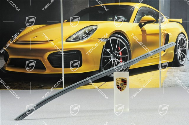 Halteschiene, Targa, L Halteschiene, Targa, L