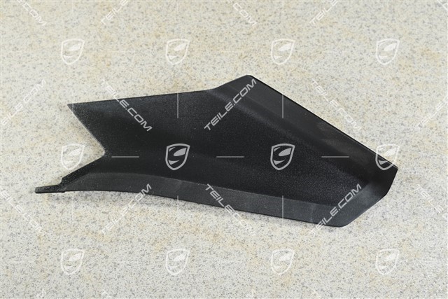 Rear light cover, R