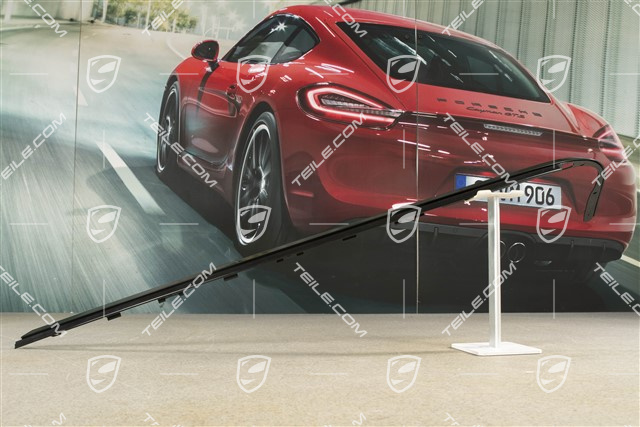 Zierleiste, Tür hinten, Schwarz, L