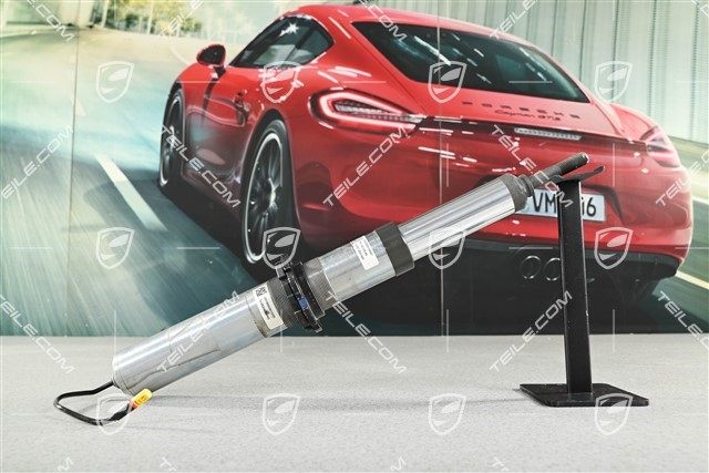 Schwingungsdämpfer, PASM, Hinterachse, GT4, L=R