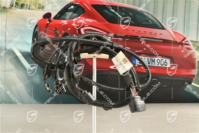 Wiring harness, front luggage compartment