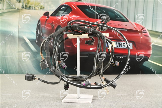 Kabelstrang Verkleidung hinten, C4 / C4S, PDC / Rückfahrkamera