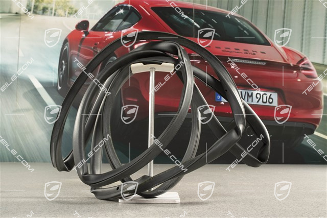 Türdichtung, aussen, hinten, L=R