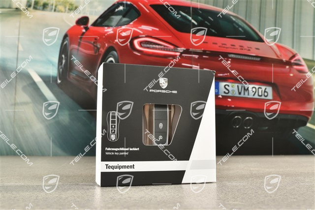 Vehicle key side faces / Key cap, Painted / lacquered, set Palladium metallic