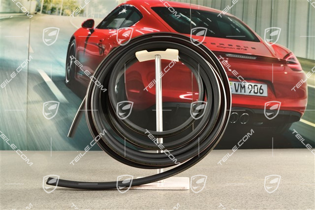 Uszczelka dachu panoramicznego