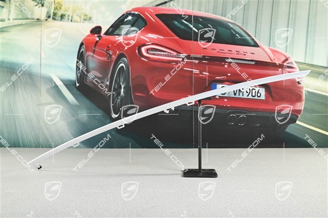 Centre disc / trim for front bumper retaining frame centre, lower, Rohodiumsilver metallic