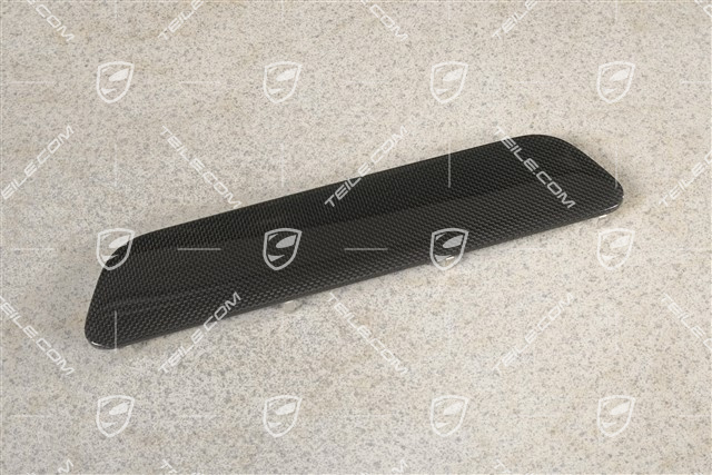 Blende, Einstiegleiste, Hinten, Carbon