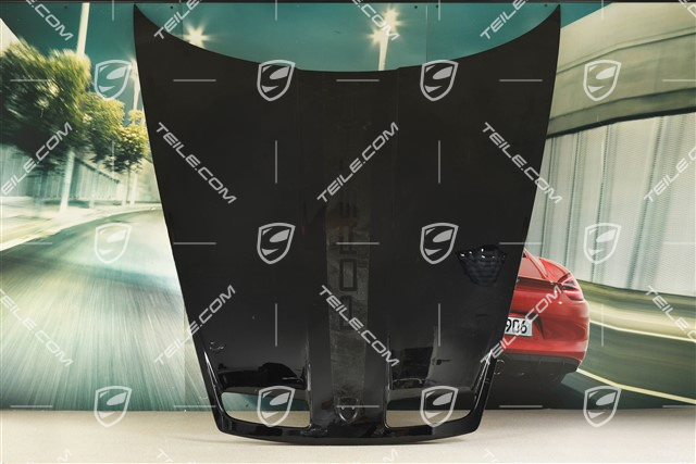GT3 / Dakar / S/T Lid front, Carbon, lacquered