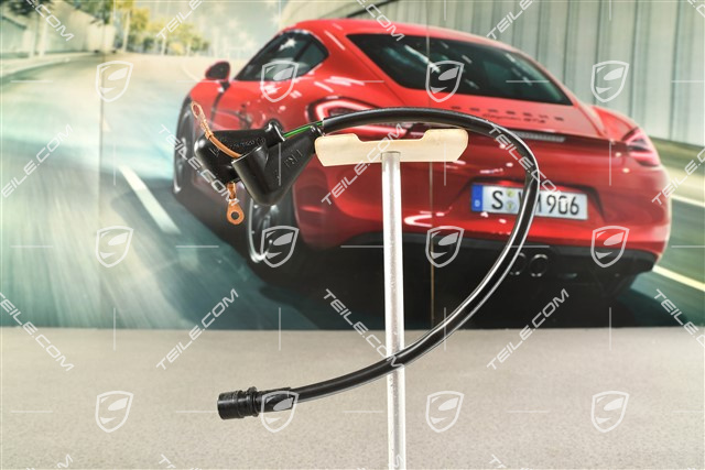 Wiring harness fuel pump